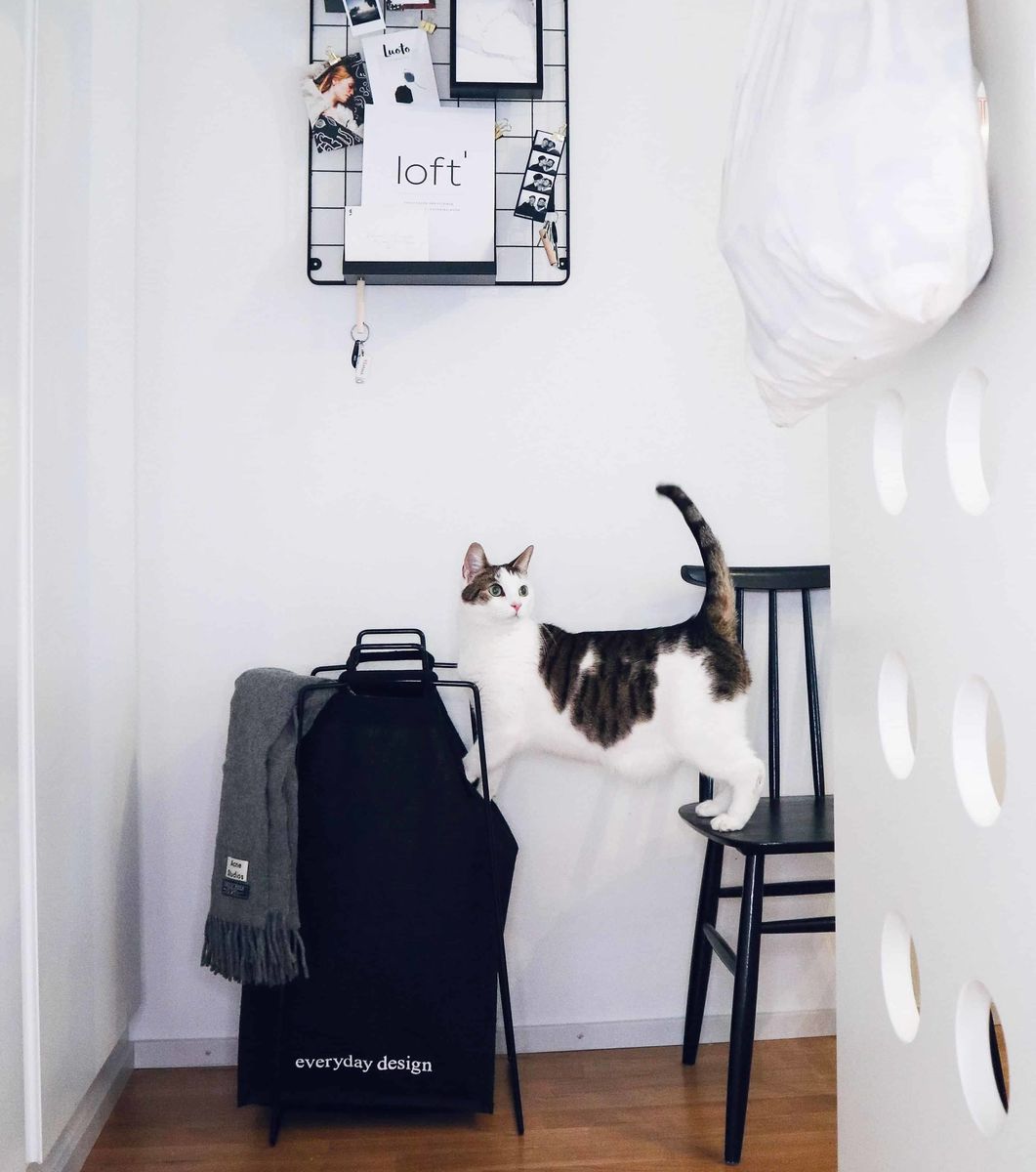 TURKU XL-Halter schwarz